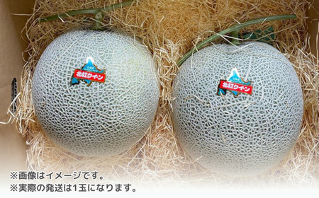 ＜2024年7月上旬よりお届け＞北海道壮瞥産 赤肉メロン「北紅クイーン」1玉入り約1.8kg以上 【 ふるさと納税 人気 おすすめ ランキング メロン めろん 北紅クイーン 果物 甘い 赤肉 北海道 