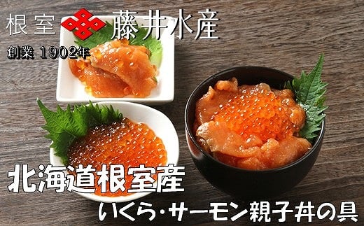 
D-42044 【北海道根室産】＜鮭匠ふじい＞いくら・サーモン親子丼の具
