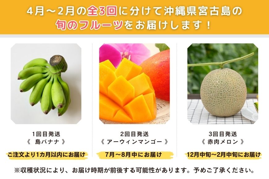 JH013【3回定期便】宮古島 旬の南国フルーツ定期便　(株)フラモン