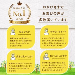 皮まで美味しい無農薬レモン 約3kg【栽培期間中農薬不使用】