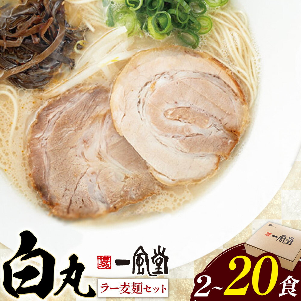 【ふるさと納税】ラーメン 一風堂 白丸 ラー麦麺 セット 選べる 2食 6食 12食 20食 地域商社ふるさぽ《90日以内に出荷予定(土日祝除く)》福岡県 鞍手町 ラーメン とんこつ 豚骨スープ 豚骨ラーメン ラー麦 麺