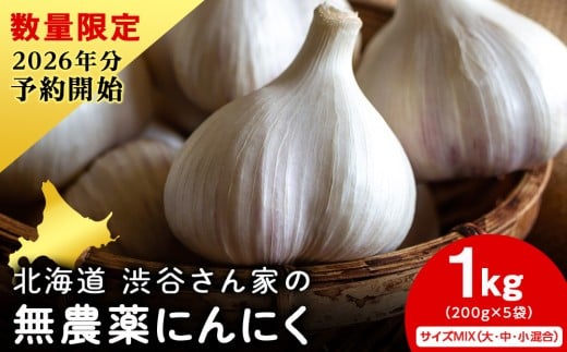 2026年分予約開始！ 【数量限定】渋谷さん家の「無農薬 にんにく MIXサイズ 200gx5袋」