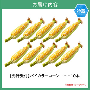 [1.12-358]【2025年先行予約】照之家商店 鮮度抜群 とうもろこし「黄色と白粒のバイカラーコーン」30本| とうもろこし トウモロコシ 北海道とうもろこし 朝採れとうもろこし 産地直送とうも