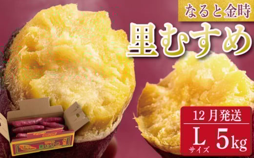 さつまいも 鳴門金時 5kg 2025年12月発送 なると金時 Lサイズ 里むすめ 芋 野菜 スイーツ スイート チップス 棒 箱 詰め 紅 甘い お菓子 金時 大学 種類 生 調理 干し芋 焼き芋 ホクホク ケーキ 産地直送 黄 ふるさと ギフト 年 日 徳島 鳴門