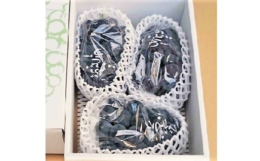 ぶどう（ピオーネ）２ｋｇ　0009-2502