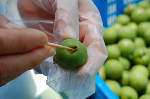 【数量限定】梅ジュースに最適！紀州特産　冷凍南高梅　3kg