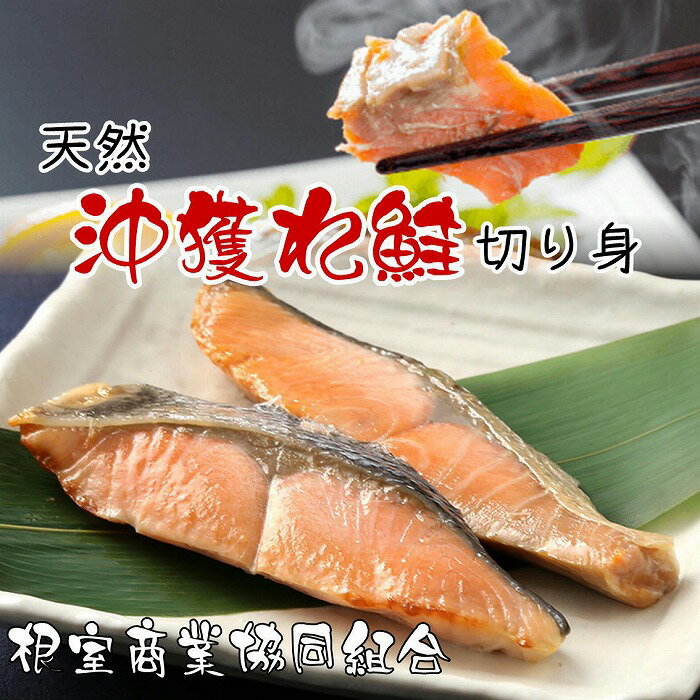 【ふるさと納税】【12月10日決済確定分まで年内配送】 沖獲れ鮭切り身 5 切 × 3P 沖どれザケ 沖どれざけ 春ザケ 春ざけ 春鮭 時不知 時鮭 トキシラズ ときしらず 鮭 さけ サケ しゃけ シャケ 魚 さかな サカナ グルメ 海鮮 切身 切り身 北海道 根室市 ふるさと納税 G-18013
