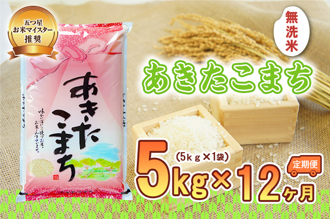 
            【12か月定期便】盛岡市産あきたこまち【無洗米】5kg×12か月
          