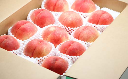 《2026年先行予約》山形県産 大人気! 夏の収穫 白桃 約5kg(11~20玉) 桃 もも フルーツ くだもの 山形県 中山町 F4A-0425