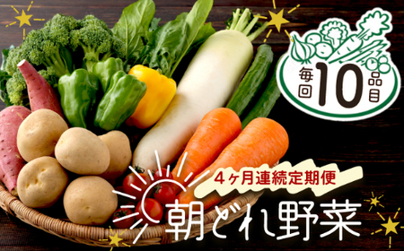 【4ヶ月連続定期便】【訳あり】朝どれ野菜 10品目  春 旬 新鮮 野菜 おまかせ 送料無料 rk005