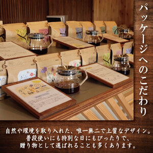 季節のコーヒー 豆 定期便 12回 220g コーヒー