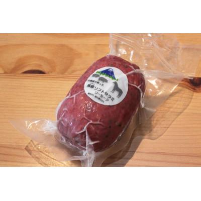 ふるさと納税 大月市 馬豚(バトン)ソフトサラミソーセージ(馬80%:豚20%) 70gシート2枚　250gブロック1個 |  | 01