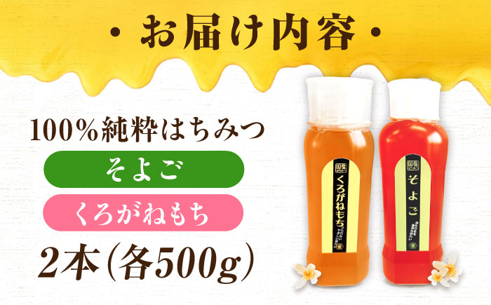 手軽に簡単チューブはちみつ（そよご・くろがねもち）各500g 計2本セット 蜂蜜 ハチミツ お取り寄せ グルメ 三次市/重森養蜂場 [APBO008]