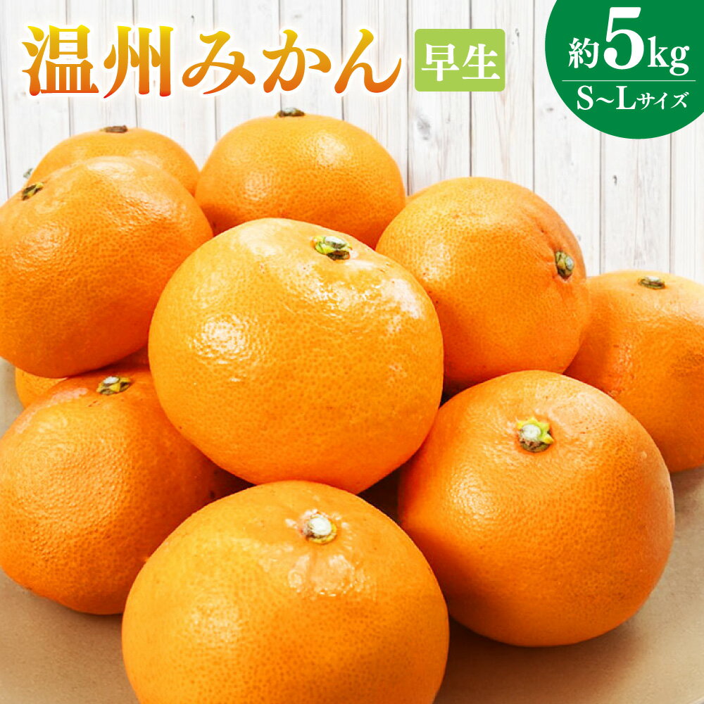 【ふるさと納税】温州みかん（早生） 約5kg（S～Lサイズ） みかん ミカン 蜜柑 柑橘 かんきつ フルーツ くだもの 果物 果実 デザート 長崎県産 国産 長崎県 長崎市 送料無料 【2026年11月上旬～12月下旬迄発送予定】