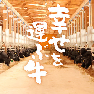 【30営業日以内配送】幸せを運ぶ牛《幸生牛》希少牛 ハンバーグ 150g×8個　015-D-YL042