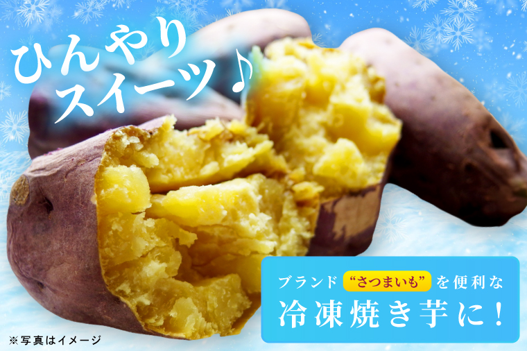 冷凍焼き芋 『Sea Sweet』 2.5kg 品種おまかせ詰め合わせ  3~5種類 詰合せ【 紅はるか / きみまろこ / 紫いも / 紅まさり / 紅あずま / 栗かぐや 】 真空パック 個包装 