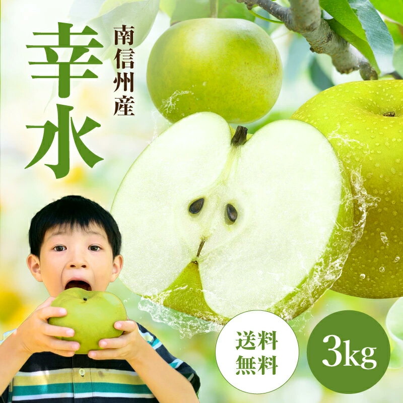 【ふるさと納税】南信州産 梨【幸水】3kg | 果物 くだもの フルーツ なし 幸水 和梨 梨 長野県 信州 飯田市