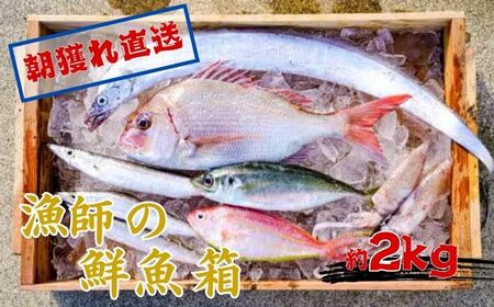 漁師の鮮魚箱（約2kg）(B669-3)