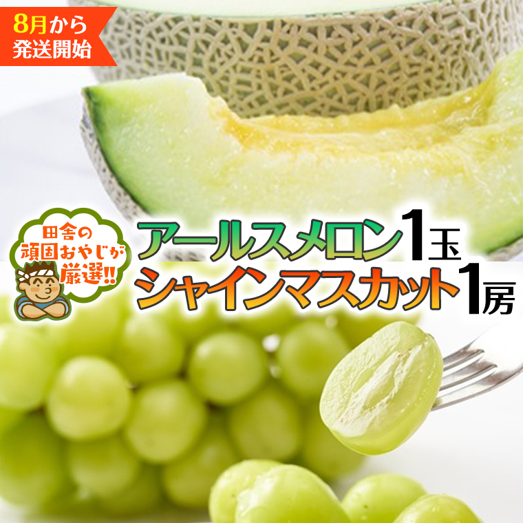 シャインマスカット 1房 アールスメロン 1個【2025年8月発送開始】田舎の頑固おやじが厳選！ マスカット 種なし メロン ギフト 高糖度 甘い フルーツ 美味しい [BI314-NT]
