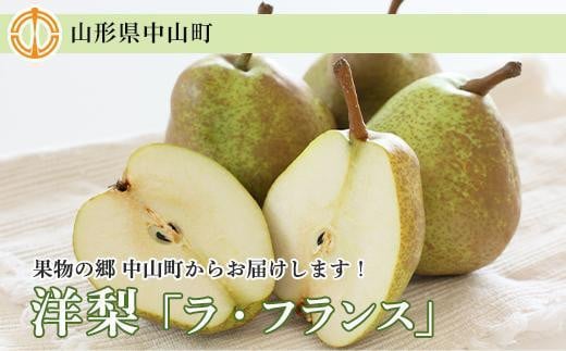 【2025年10月下旬以降お届け】果物の郷 中山町からお届けします！洋梨「ラ・フランス」秀3L～4L 5kg（14～16玉）