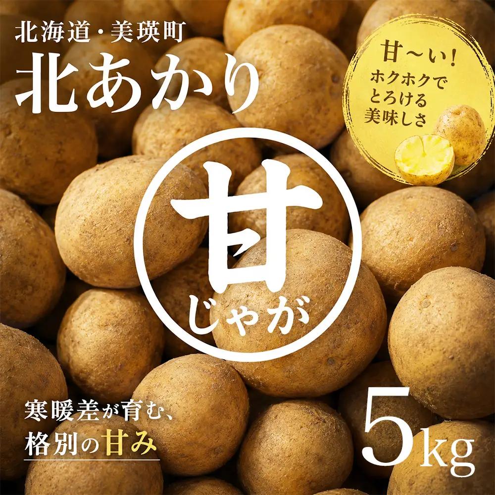 じゃがいも 【令和8年産予約受付】北海道 北あかり5kg じゃがいも [006-29]