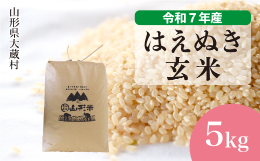 
                  ＜令和7年産＞ はえぬき 【玄米】 5kg （5kg×1袋）＜数量限定・配送時期選べます＞　山形県 大蔵村
                