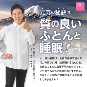  【 甲州 羽毛 本掛けふとん 】 手洗いできる ウクライナホワイトダウン 93% ホワイト（ クイーン )  ふとんカバー付 羽毛布団 クィーン 掛け布団 掛布団 洗える布団 クィーン布団 ふとん 