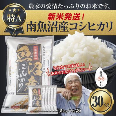 ふるさと納税 南魚沼市 【無地のし】令和7年産 南魚沼産 コシヒカリ 30kg (美味しいお米の炊き方ガイド付)
