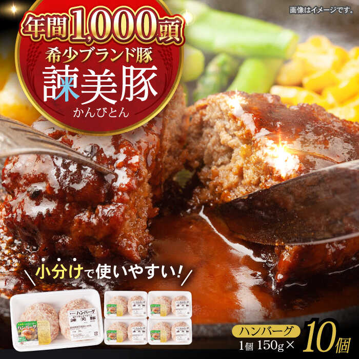 【ふるさと納税】諫美豚ハンバーグ 10個(各150g) 計1.5kg / 豚肉 ハンバーグ はんばーぐ おかず 惣菜 冷凍 / 諫早市 / 土井農場[AHAD064]