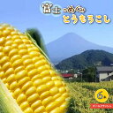 【ふるさと納税】 ＜2025年先行予約＞【富士山の麓で育つ】山梨県富士河口湖町産Inakakaraとうもろこし「ゴールドラッシュ」6本入 ふるさと納税 人気 おすすめ ランキング とうもろこし ゴールドラッシュ トウモロコシ コーン 山梨県 富士河口湖町 送料無料 FBA004