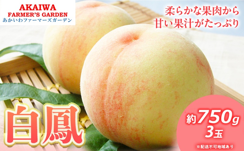 桃 2026年 先行予約 白桃 白鳳 約750g 3玉 もも 岡山県 赤磐市産 フルーツ 果物 あかいわファーマーズガーデン 果物類