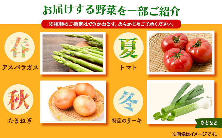 【3ヶ月定期便】旬の新鮮野菜とお米詰め合わせセット 野菜5～10品目入 青空市きらり《お申込み月の翌月から出荷開始》岡山県 矢掛町 野菜 野菜詰め合わせ 米 米3kg トマト きゅうり アスパラガス 玉ねぎ リーキ 送料無料---osy_cakrystei_24_46000_mo3num_s---