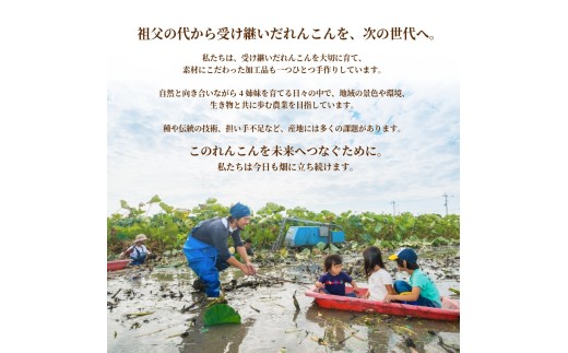 オリジナル スパイス 七味マサラ 単品 万能 塩 ソルト 七味 マサラ 徳島 蓮根 柚子 野菜 マンゴー ハーブ ウコン トウガラシ 自家栽培 風味 アウトドア 厳選 オリジナル調味料 調味料 カレー