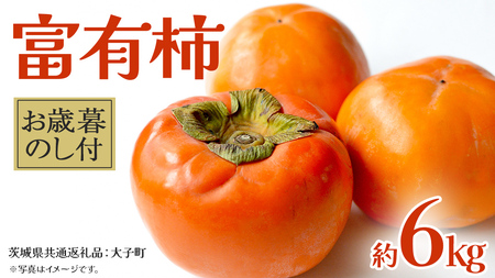 【 お歳暮 熨斗付き 】富有柿 約6kg 【2025年12月上旬発送開始】(茨城県共通返礼品：大子町) 果物 フルーツ 旬 季節限定 期間限定 贈答用 ギフト 贈り物