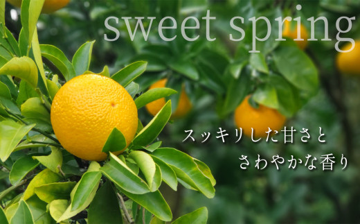 『 村上農園 』 スイートスプリング 8kg | フルーツ 果物 くだもの 柑橘 柑橘類 みかん ミカン スイートスプリング 熊本県 玉名市