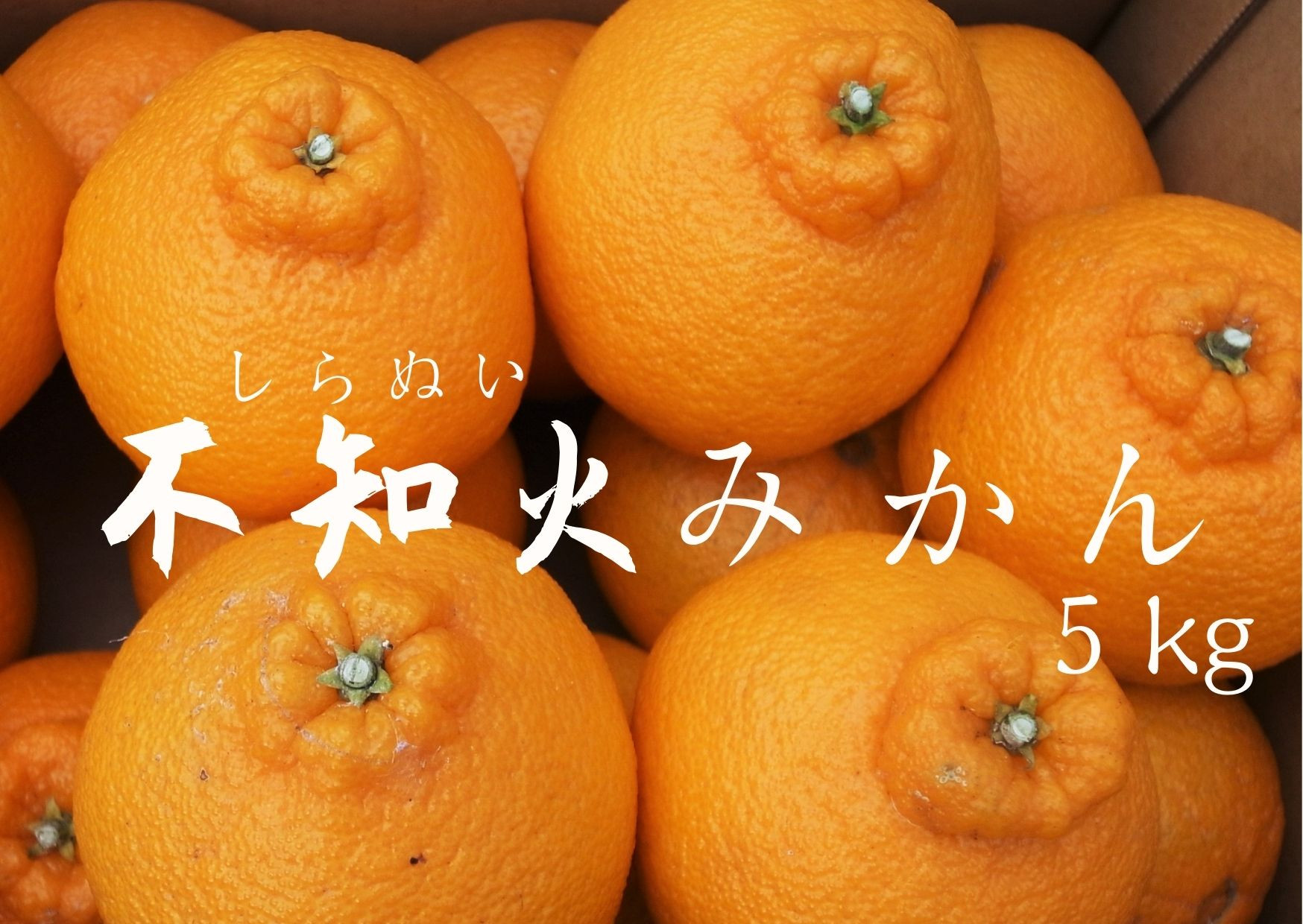 
            【先行予約＿2026年出荷分】湯の花　不知火5kg箱セット　【 不知火 清見 ポンカン 柑橘 果物 野菜 フルーツ 果物詰め合わせ フルーツ詰め合わせ フルーツセット 伊豆 南伊豆 】　<BC-7>
          