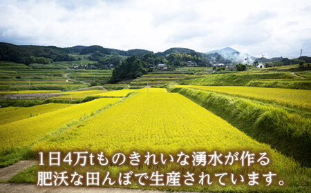 【6回定期便】 湧水米＜なつほのか＞2kg×6回 お米 米 こめ お米 白米 精米 甘い 国産 2kg 定期便 東彼杵町/木場みのりの会[BAV034]