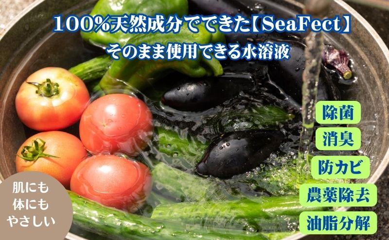 除菌・消臭液【SeaFect】詰替えタイプ 2L 雑貨 衛生用品 除菌スプレー 消臭スプレー 詰め替え用 100%天然成分 肌にやさしい 飲食店 防カビ 油脂分解 農薬除去 