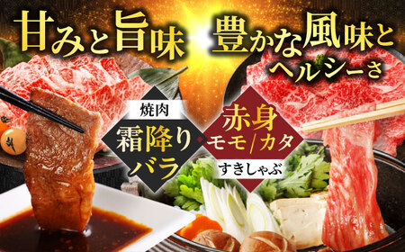 【4回定期便】 飛騨牛霜降りバラ焼肉500g・赤身モモ/カタすきしゃぶ 飛騨牛 定期便[ANBO051]