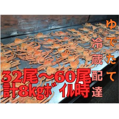 ふるさと納税 白老町 ゆでたて冷蔵便 32尾から60尾で8kg 訳あり オオズワイガニ(オス・メスおまかせ)