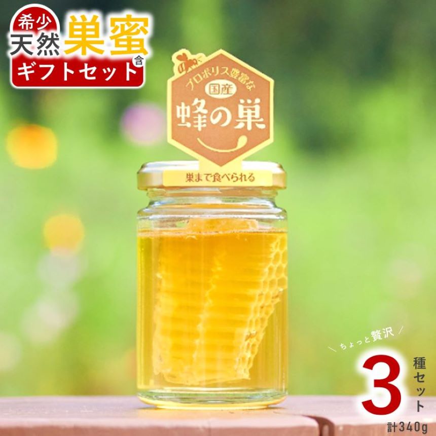 【ふるさと納税】 希少 天然 蜂蜜 巣蜜 ( コムハニー ) 入 ギフト3点セット | 国産 君津市 きみつ 千葉県 プレゼント 贈答用 はちみつ工房 国産 巣 の ザクザク 食感 ジュワっと 広がる 蜜 の 甘み 千葉 君津 きみつ 1万2千円
