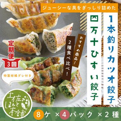 ふるさと納税 四万十市 【3回定期便】四万十ひすい餃子・一本釣りかつお餃子(8ヶ×4パック×2種)・たれ付にんにく不使用26