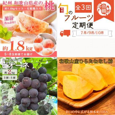 ふるさと納税 かつらぎ町 【発送月固定定期便】紀州和歌山産旬のフルーツセット(桃・ピオーネ・ひらたねなし柿)全3回