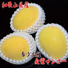 【希少マンゴー】濃厚金密マンゴー　約1kg(2～3玉)