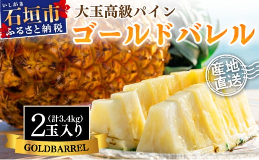 【先行予約】《2025年夏季 順次発送》ゴールドバレルパイン大玉２個入り 計3.4kg　SI-39