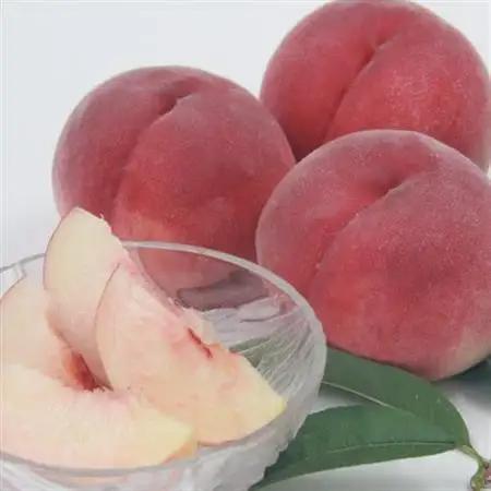 【2026年発送】山梨市産　白桃と黄金桃の食べ比べセット　約2kg(5～8玉)【配送不可地域：離島】【1431881】