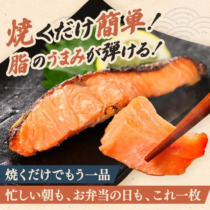 鮭 切身 訳あり 1kg  銀鮭 【ho1680】