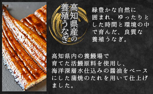 【３回定期便】高知県産養殖うなぎ蒲焼き 約220g×2尾 うなぎ 魚介 国産 海鮮 魚 かばやき 鰻 ウナギ 惣菜 おかず お手軽 加工品 加工食品 冷凍 Wfb-0062