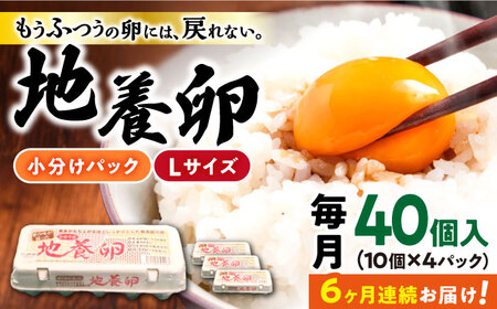 最高級 たまご 【6回定期便】かきやまの「地養卵」 Lサイズ 40個＜垣山養鶏園＞[CBB003] 長崎 西海 生卵 たまご 鶏卵 卵 卵ギフト 卵 たまご 卵セット 卵焼き 卵かけご飯 ゆで卵 卵とじ 生卵 鶏卵 卵黄 卵白 卵 卵 卵 国産 卵 養鶏 卵 鶏 卵 たまご 生卵 たまご 鶏卵 卵 卵ギフト 卵 たまご 卵セット 卵焼き 卵かけご飯 卵 贈答 卵 たまご 卵 たまご タマゴ 料理  たまご 卵 たまご 卵 たまご 卵 たまご 卵 贈答卵 たまご定期便 卵料理 お取り寄せたまご 卵 たまご焼き