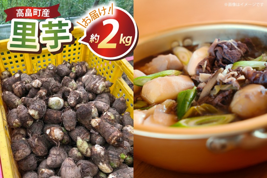 
            【期間限定発送】 里芋 約 2kg (15〜20個) 土付き [農家の店しゃんくすろーど 山形県 高畠町 tk06bcz250001] さといも 里いも 芋 野菜 やさい 芋煮 煮物 おかず 惣菜
          